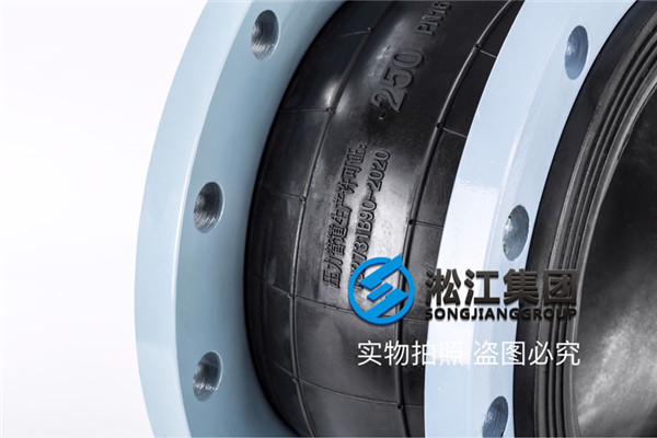 四川省为疫情防控建设污水处理站配套DN250可曲挠橡胶接头
