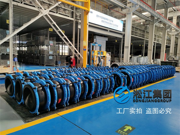 温州DN50避震膨胀节生产能力强大